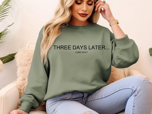 Three Days Later... - Sweatshirt - T-shirt